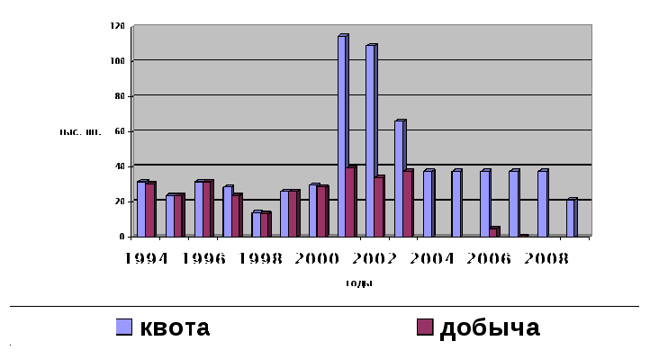 Зверобойный промысел автор ученица Малыгина П.Н., руководитель Малыгина М.А.