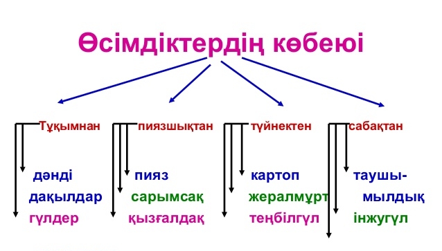 Презентация по зниание о мире на тему Өсімдіктердің көбеюі (2 класс)