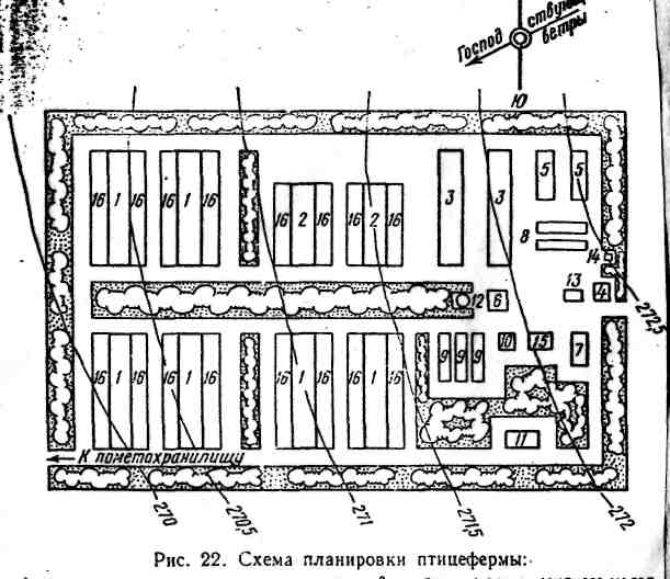 Лекция на тему: Планировка производственной зоны