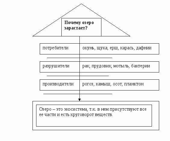 Урок окружающего мира в 3 классе Экосистема озера.