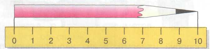 Конспект урока по математике на тему «Измерение длины отрезка. Сантиметр как единица длины» (1 класс)