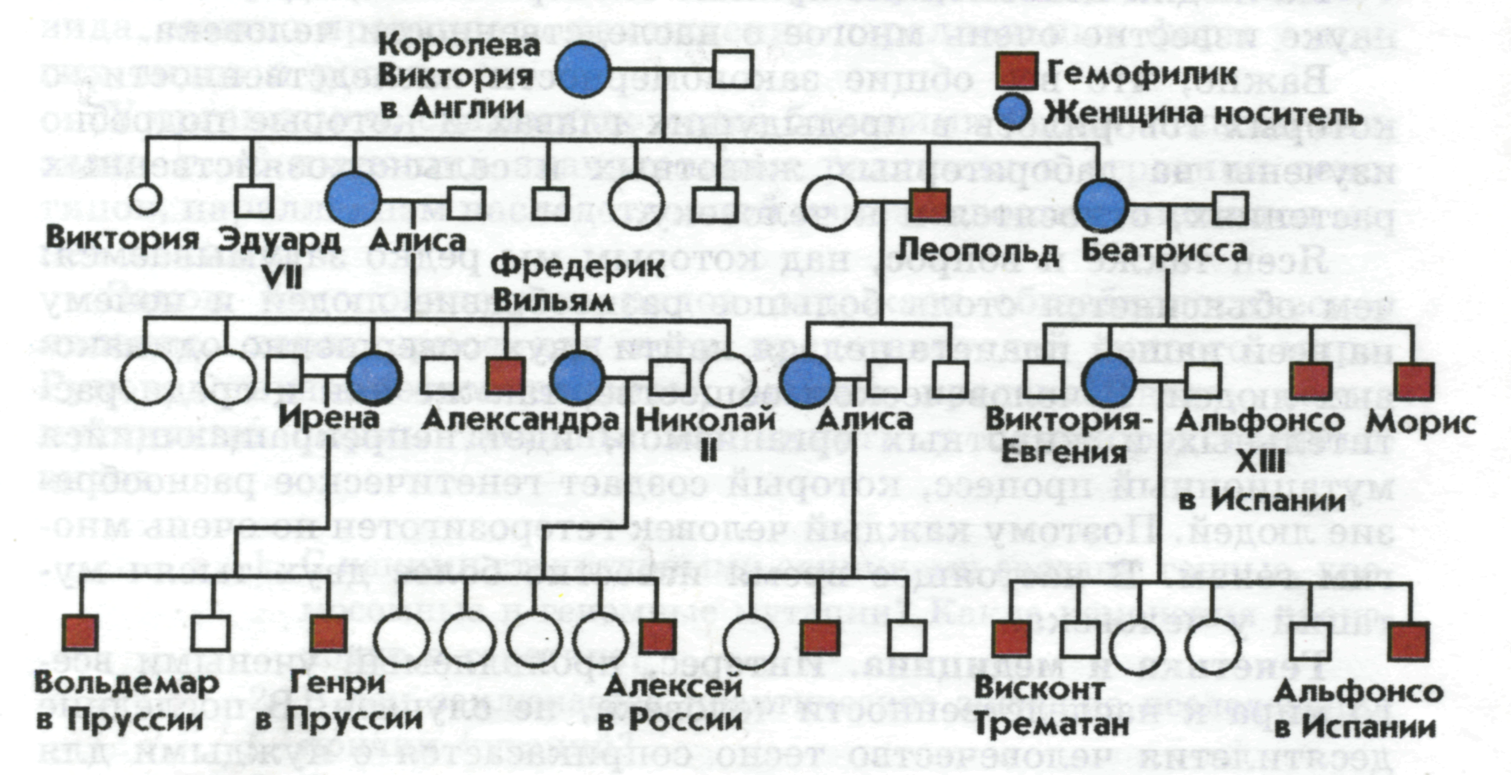 Конспект урока на тему Генетика человека