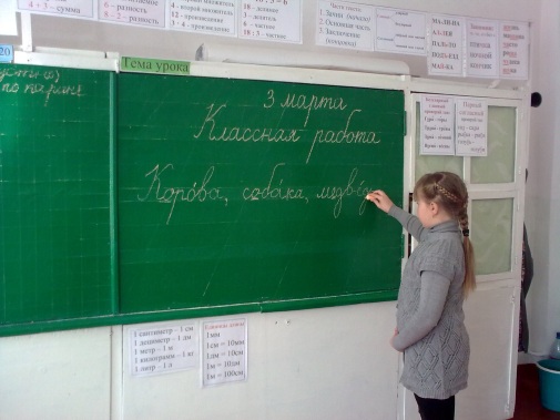 Конспект урока по русскому языку Большая буква в кличках животных (2 класс)