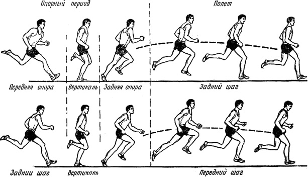 Учебно методический комплекс по физической культуре для ССУЗов раздел бег на короткие дистанции 1курс обучения