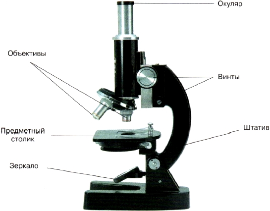 Конспект по биологии на тему: Устройство увеличительных приборов