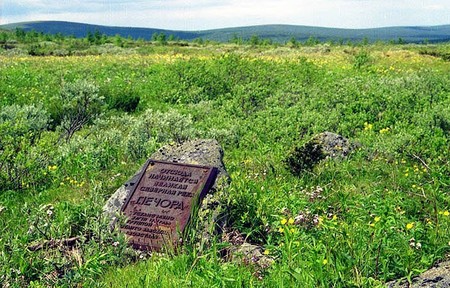 Девственные леса Республики Коми