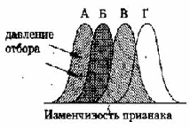 Конспект урока Современная теория эволюции