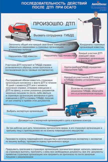 После дтп в какую страховую. Порядок действий при ДТП. Памятка в случае ДТП. Действия при ДТП по ОСАГО. Последовательность действий после ДТП при ОСАГО.