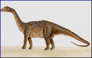 Буклет к проекту Современные родственники динозавров