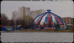Проект на тему Посещение цирка