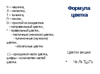 Открытый урок биологии с применением уровневой дифференциации (6 класс)