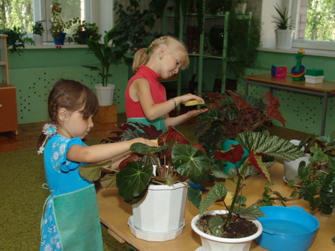 Методическая разработка:Экологическое воспитание в детском саду