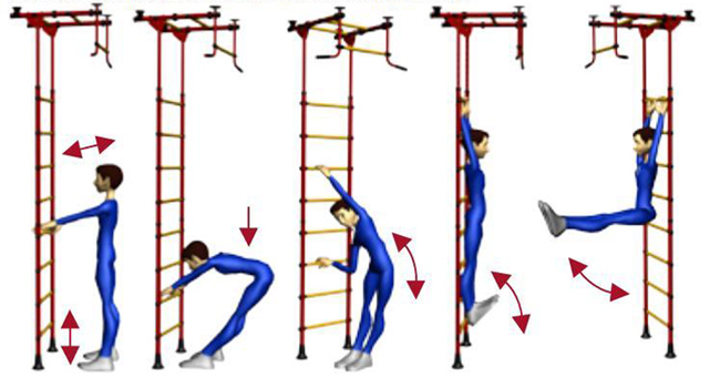 Упражнения с использованием гимнастической лестницы (шведской стенки) как основы современного урока.