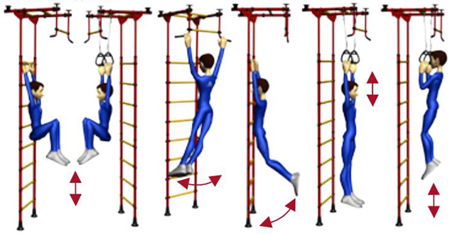 Упражнения с использованием гимнастической лестницы (шведской стенки) как основы современного урока.