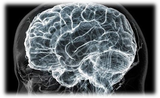 Доклад для внеурочного мероприятия по физике Человеческий мозг и его удивительные способности