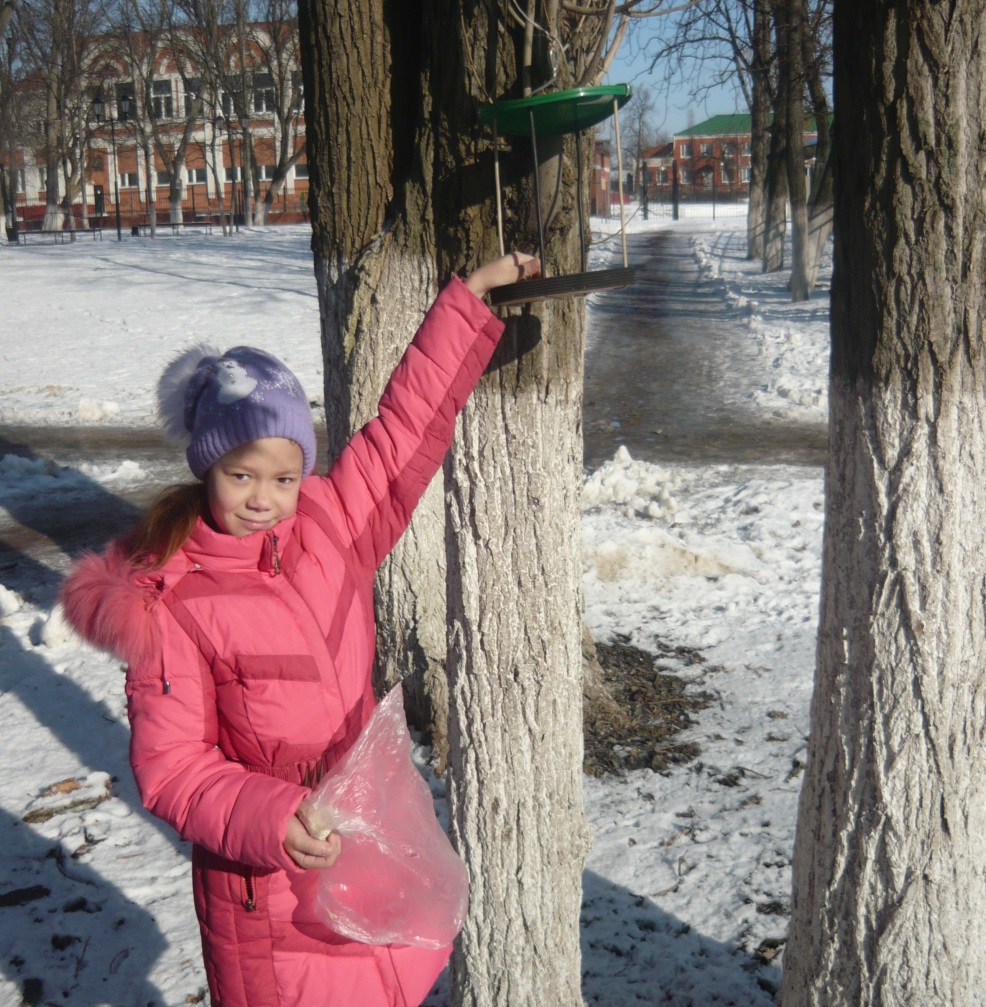 Социальный проект Покормите птиц зимой!