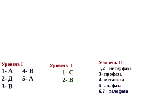 Флипчарт на тему Деление клетки. Митоз для учащихся 10 класса