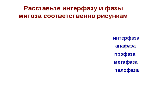 Флипчарт на тему Деление клетки. Митоз для учащихся 10 класса