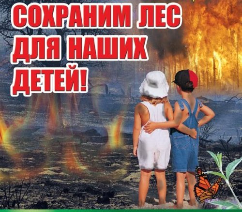 Буклет «Сохраним лес от пожаров»