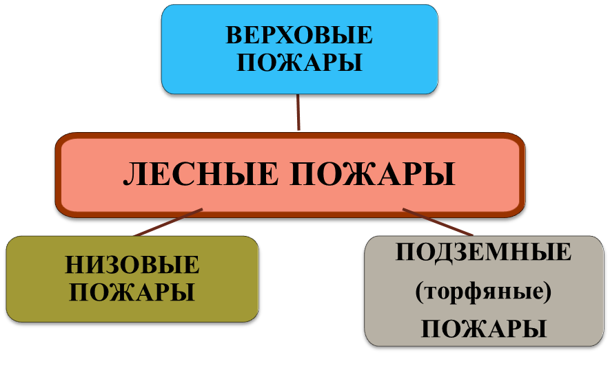 Урок по ОБЖ Лесные пожары ( 7 класс)