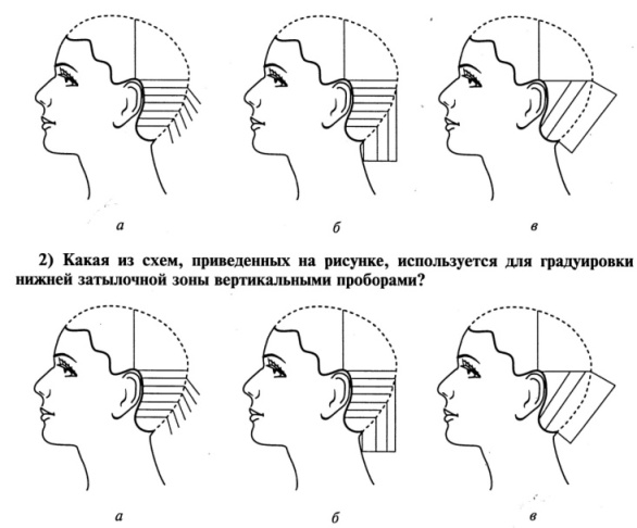 Метод градуировка. Внутренняя градуировка схема. Градуировка волос схема. Градуировка нижней затылочной зоны горизонтальными проборами схема. Градуировка в стрижке схема.