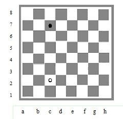 Проект на тему Математика на шахматной доске