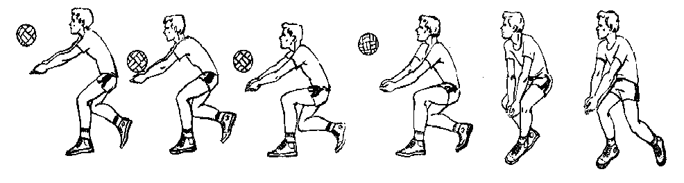 Обучение технике приема и передачи мяча снизу двумя руками