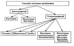 Контрольные вопросы по биологии (конец года-зачёт)