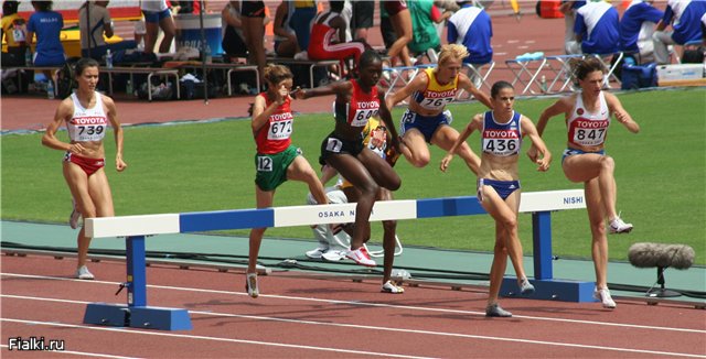 Урок по английскому языку «Sports Day»