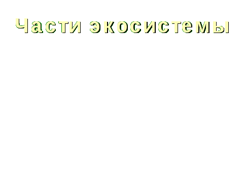 Урок по окружающему миру для 3 класса «Жизнь экосистемы»