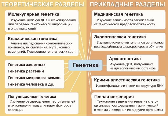 Наследственные болезни человека (11 класс)