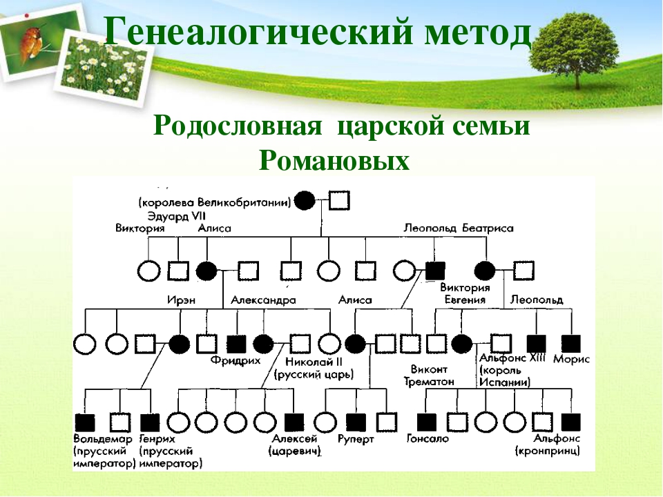 Наследственные болезни человека (11 класс)