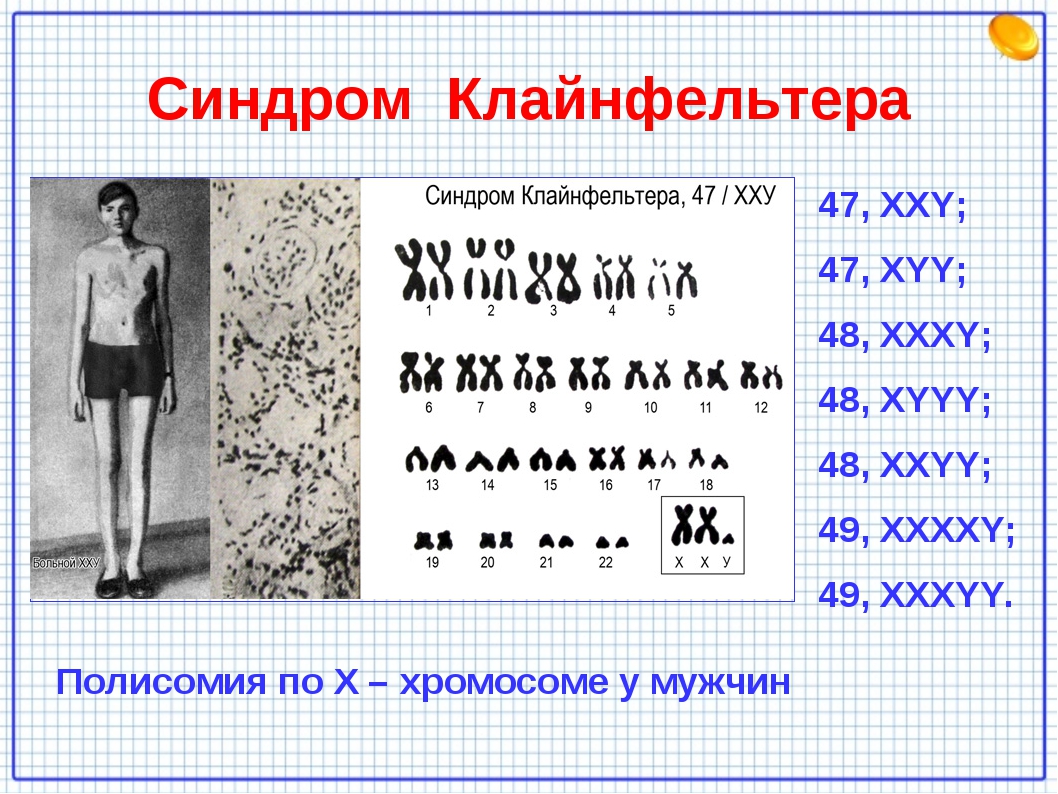 Наследственные болезни человека (11 класс)