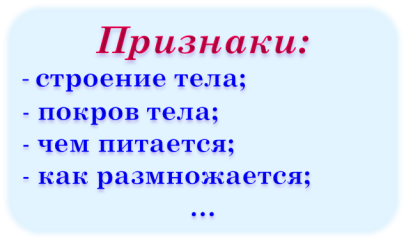 Урок по окружающему миру по теме Насекомые 1класс по УМК Школа России