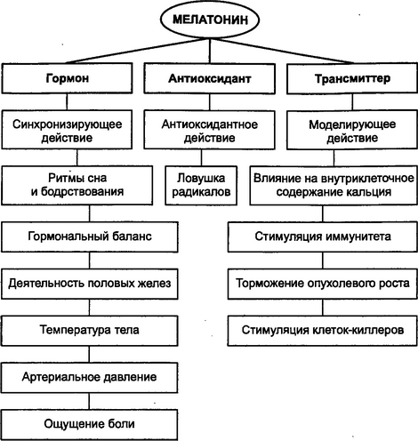 Исследовательская работа по теме «Влияние интенсивности и продолжительности освещения на здоровье человека»