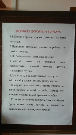 Урок русского языка для 3 класса на тему: Употребление синонимов и антонимов в речи Урок разработан и проведен в групповом взаимодействии с использованием рефлексии деятельности на различных этапах урока