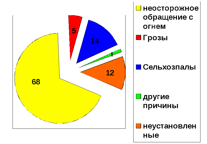 Урок по ОБЖ для 7 класса «Причины и последствия лесных пожаров»