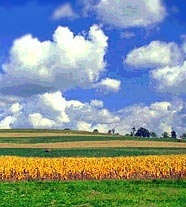 Санды және әріпті өрнек