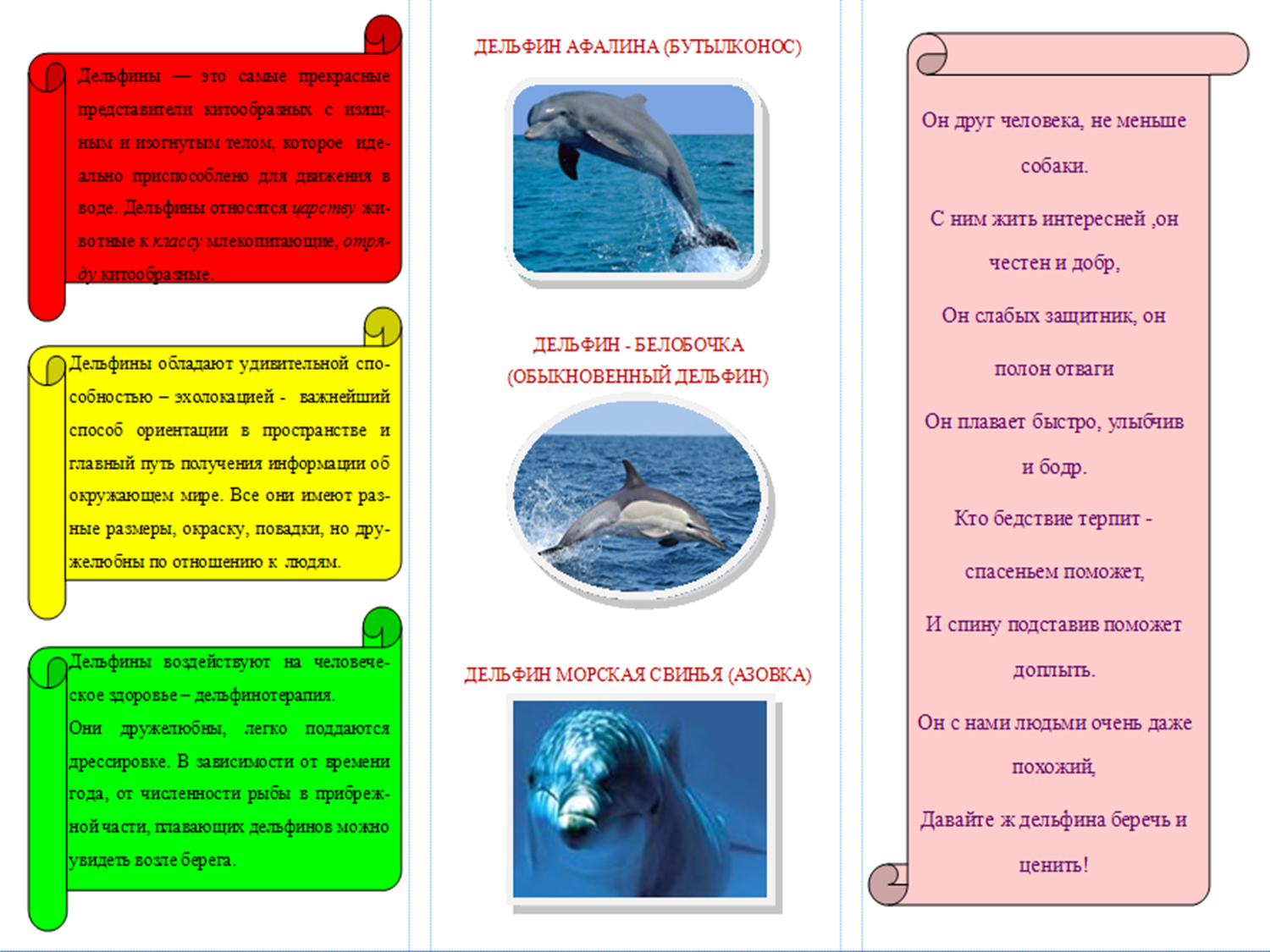 Буклет по биологии на тему Чудесный мир дельфинов