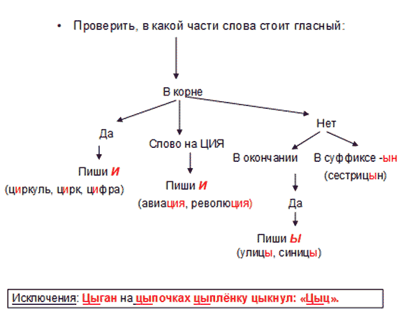 Урок Буквы и-ы после ц (5 класс)