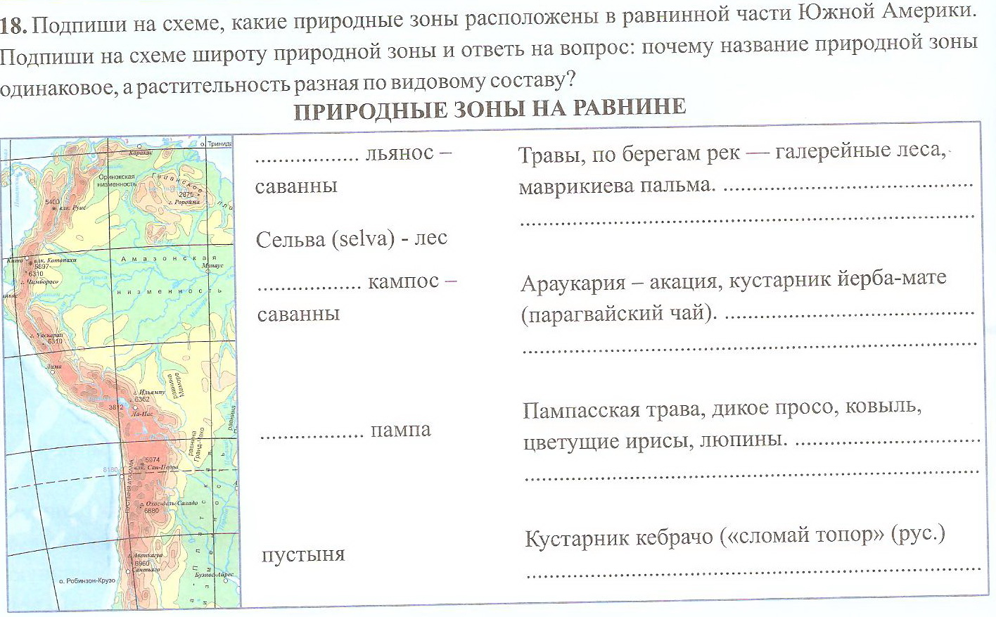 Задания для индивидуальной работы 7 класс