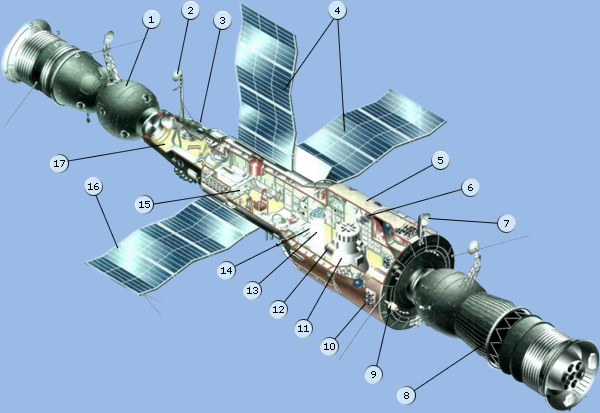 ИССЛЕДОВАТЕЛЬСКАЯ РАБОТА УЧЕНИЦЫ 10 А КЛАССА МАОУ СОШ № 31 Г.ТАМБОВА ХУДЯКОВОЙ МАРИИ