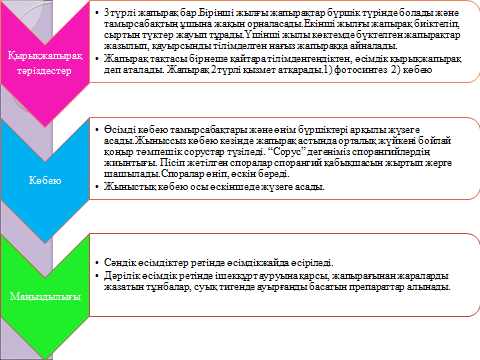 Конспект сабақ Қырықжапырақ тәріздестер