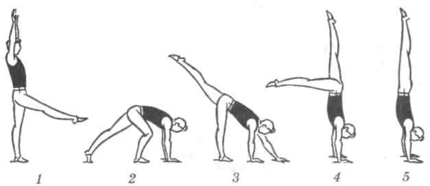 Тест по гмнастике .(8-10класс)
