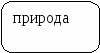 Конспект урока окружающего мира по теме: Царство грибов 2 класс