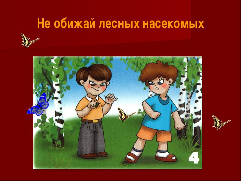 План - конспект урока по развитию устной речи на тему: Многообразие животного мира (3 класс)