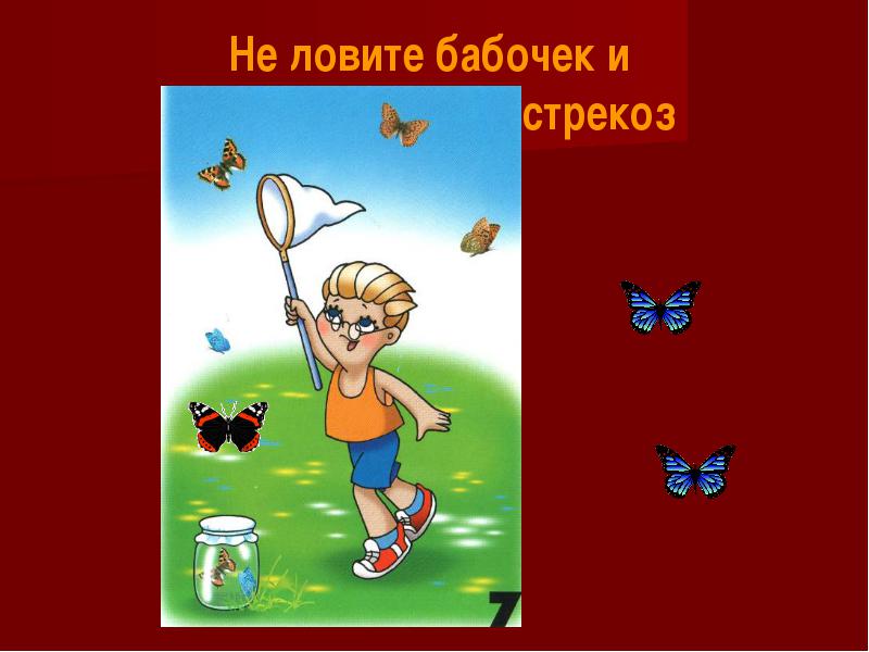 План - конспект урока по развитию устной речи на тему: Многообразие животного мира (3 класс)