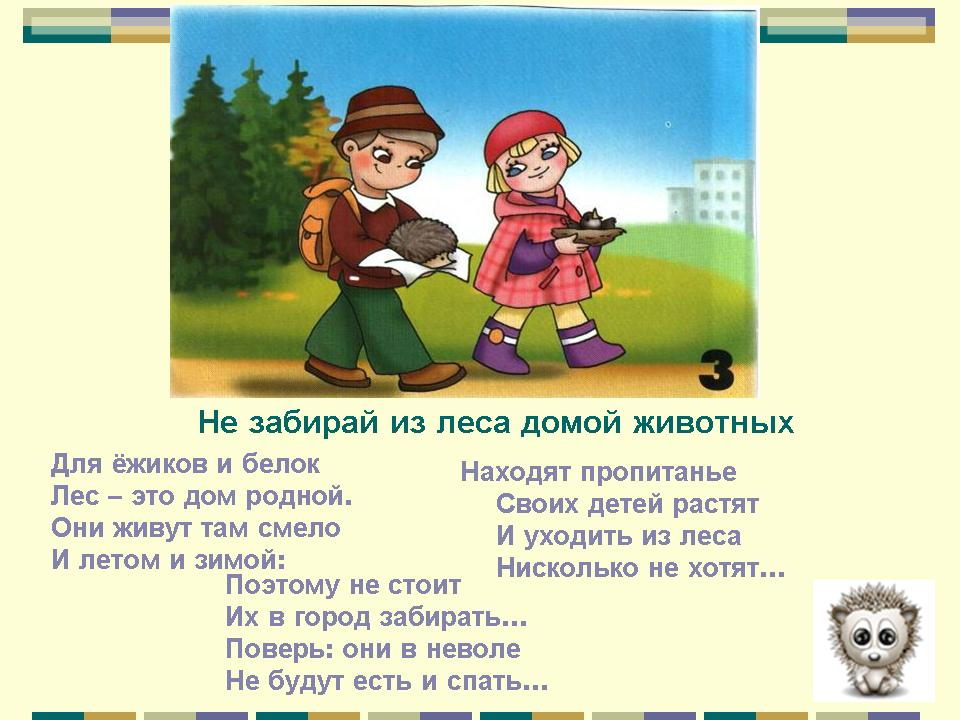 План - конспект урока по развитию устной речи на тему: Многообразие животного мира (3 класс)