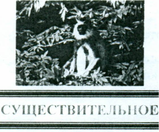 «Обучение правилам орфографии на уроках русского языка в начальных классах посредством реализации проблемного обучения»