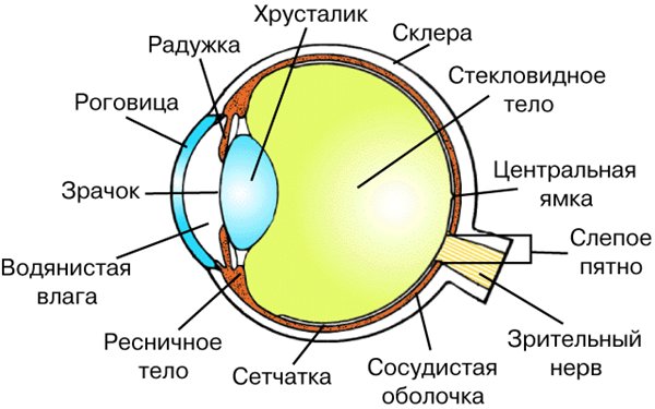 Методический материал Берегите зрение